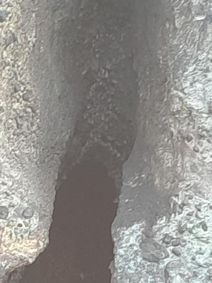 דירות Bellefontaine Les Cactus מראה חיצוני תמונה